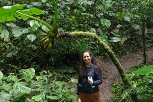 Quito: Excursão privada de dia inteiro com destinos flexÃveis