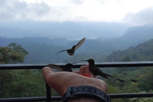 Quito: Private Full Day Tour with Flexible Destinations