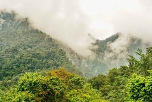 Quito : Visite privée de la forêt nuageuse de Mindo avec promenade en téléphérique
