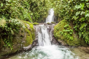 Quito: Private Mindo Cloud Forest Tour met kabelbaanrit