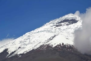 Quito: Rosas, Queijo e Vista do Vulcão Cotopaxi - Excursão de um dia