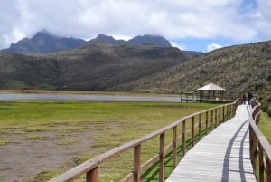 Quito: Rosas, Queijo e Vista do Vulcão Cotopaxi - Excursão de um dia