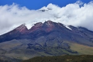 Quito: Rosas, Queijo e Vista do Vulcão Cotopaxi - Excursão de um dia