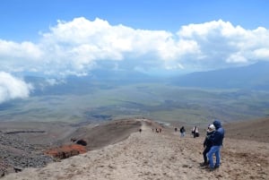 Quito: Rosas, Queijo e Vista do Vulcão Cotopaxi - Excursão de um dia