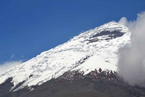 كيتو: جولة كوتوباكسي ليوم واحد لمشاهدة الورود والجبن والبركان