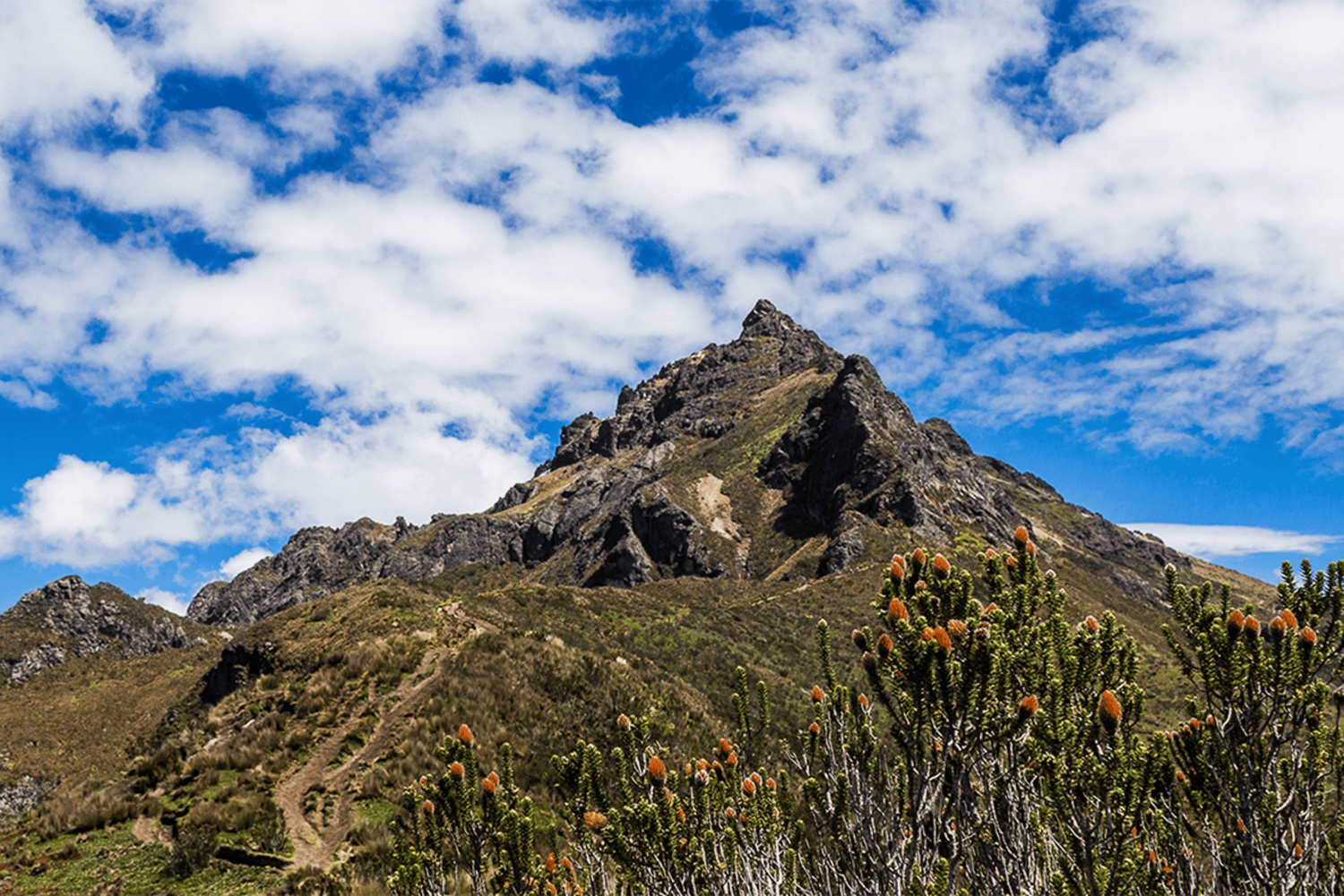 Quito Rucu Pichincha: Vandring till toppen av Rucu Pichincha