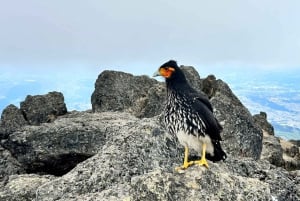 Quito Rucu Pichincha: Hiking to the Rucu Pichincha summit