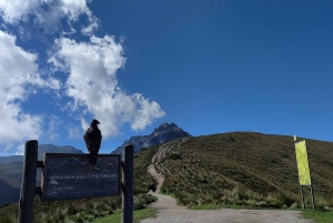 Quito Rucu Pichincha: Hiking to the Rucu Pichincha summit