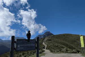 Quito Rucu Pichincha: Vandring till toppen av Rucu Pichincha