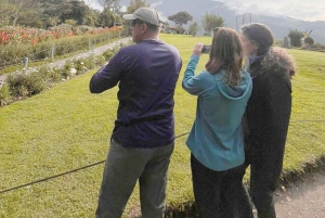 كيتو إلى بانيوس: مغامرة ليوم كامل مع الشلالات