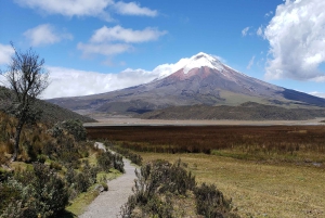 De Quito a Cuenca: 4 días Cotopaxi, Quilotoa, Baños, Chimborazo