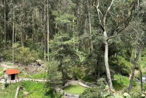 كيتو إلى أوتافالو وكويكوشا: جولة يومية رائعة