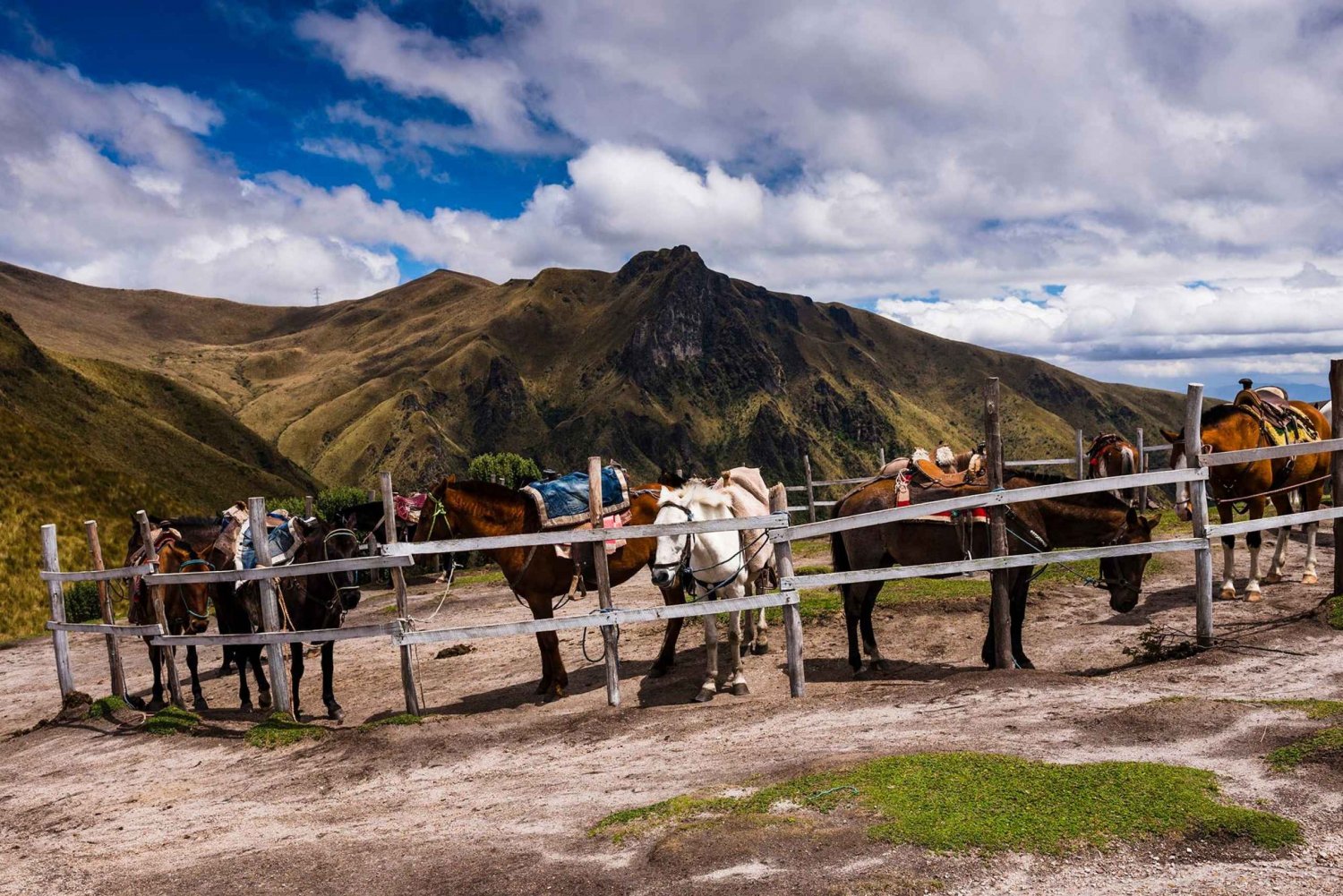 Quito Tour, Teleferico & Pichincha Volcano Horseback Ride