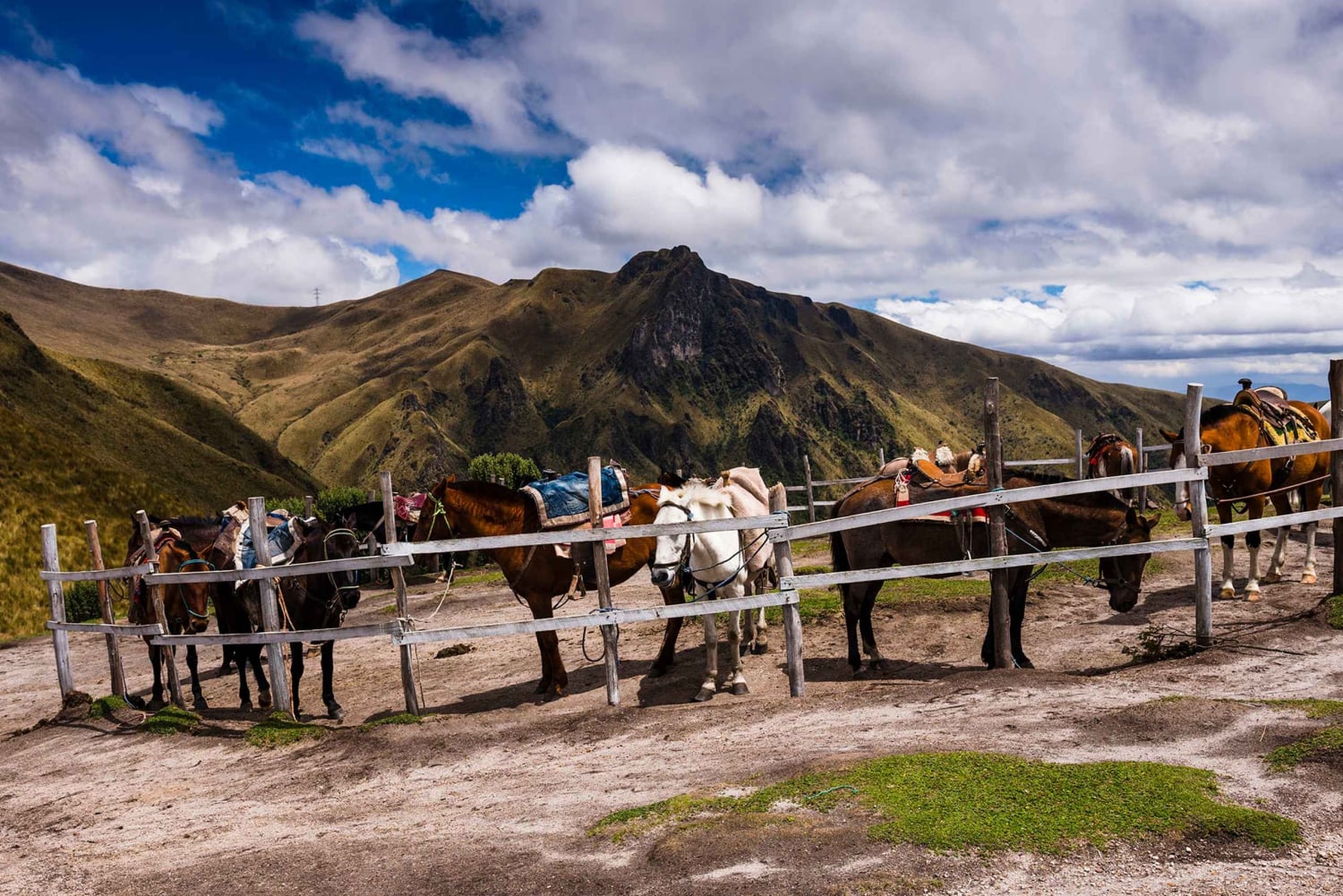Quito-tur, ridetur på Teleferico og Pichincha-vulkanen