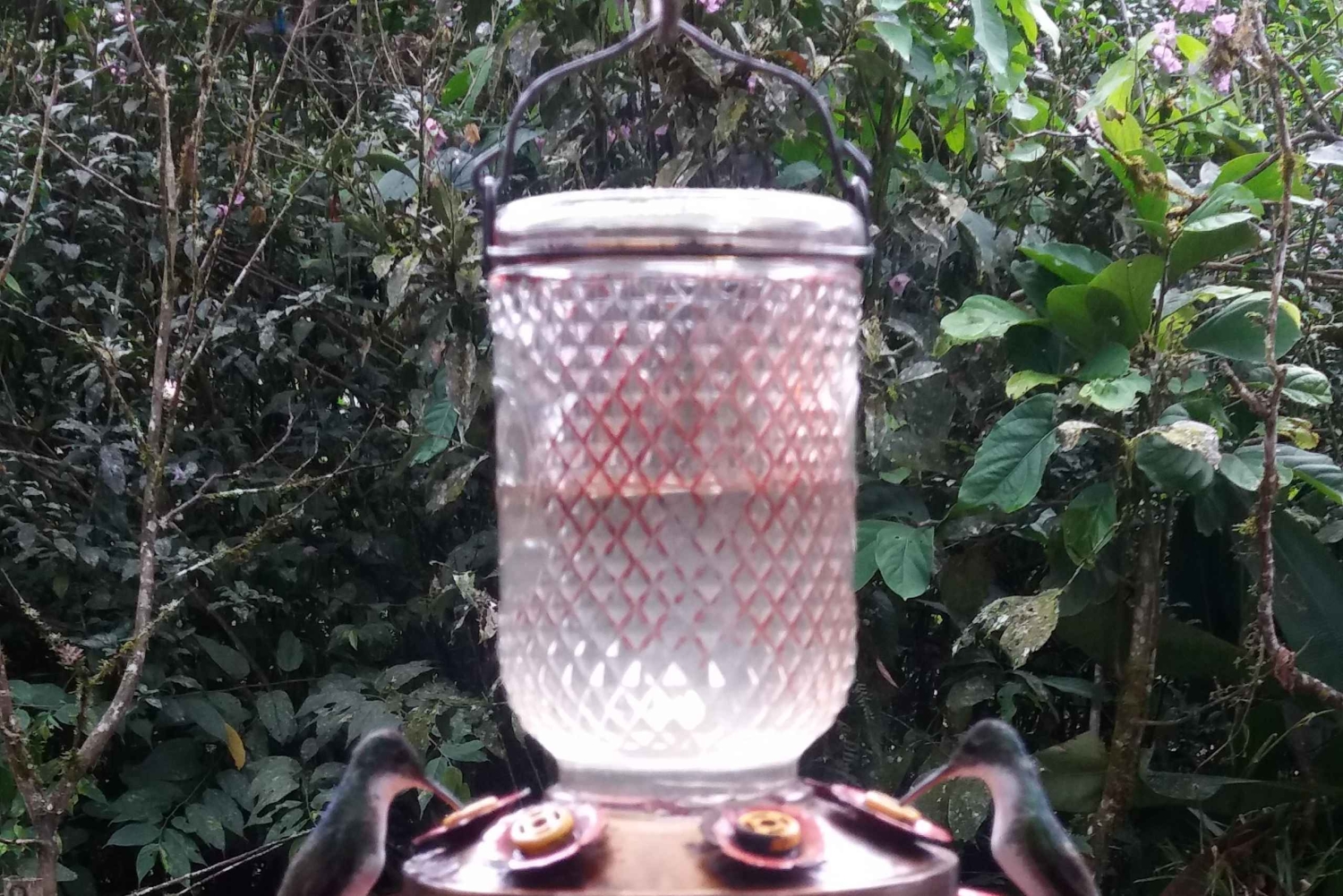 Quito: Waterfall, Hummingbirds, Butterfly Tour, Equator line