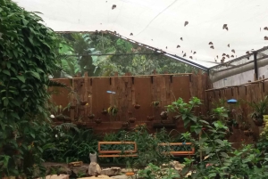 Quito: Waterfall, Hummingbirds, Butterfly Tour, Equator line