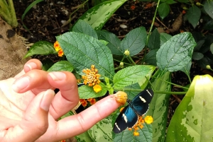 Quito: Waterfall, Hummingbirds, Butterfly Tour, Equator line