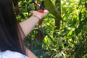 Quito: Waterfall, Hummingbirds, Butterfly Tour, Equator line