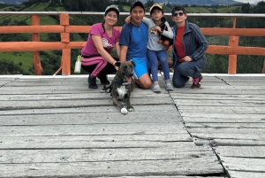 Quito waterfalls: Waterfalls, Horseback Riding, Bees, Canopy