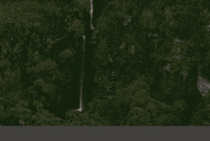 Quito waterfalls: Waterfalls, Horseback Riding, Bees, Canopy