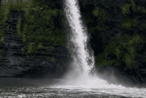 Quito waterfalls: Waterfalls, Horseback Riding, Bees, Canopy