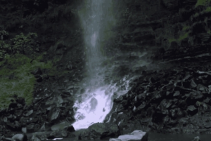 Quito waterfalls: Waterfalls, Horseback Riding, Bees, Canopy