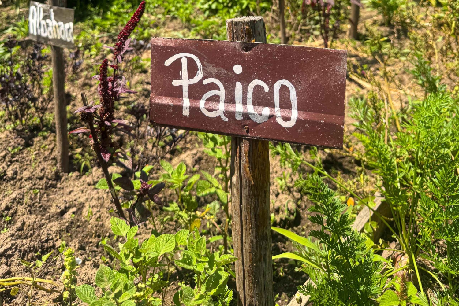 リトモス・イ・サボレス・アンディノス：オタバロで過ごす1日（キト発）