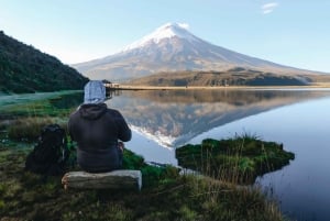 Route to Cotopaxi: Snow, Adventure, Altitude & Páramo Picnic