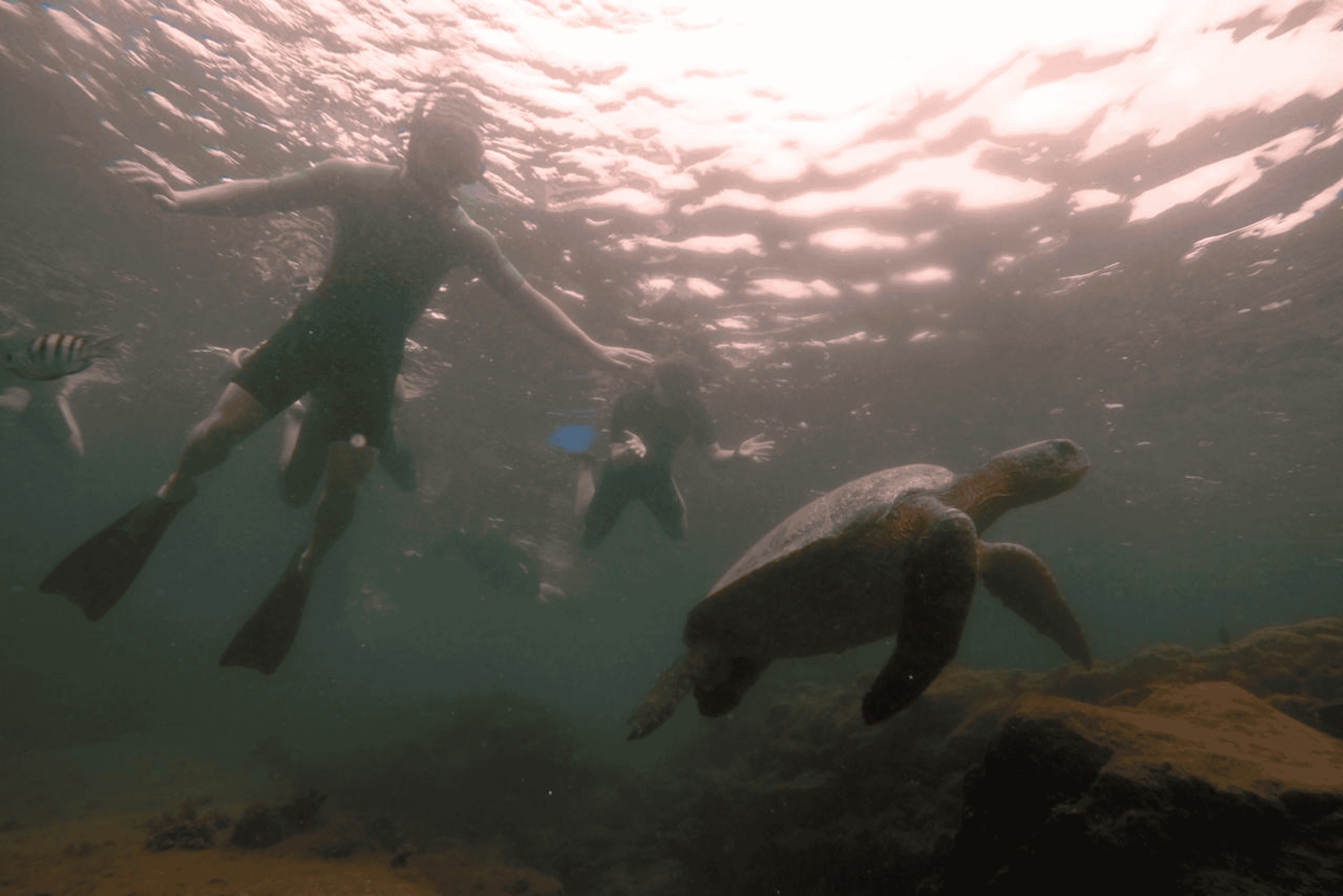 Excursión de día completo San Cristóbal 360 en Galápagos