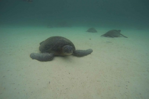San Cristobal 360 in Galapagos-dagtour