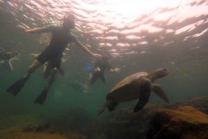 Całodniowa wycieczka do San Cristobal 360 na Galapagos