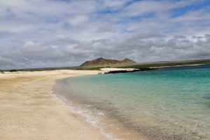 Całodniowa wycieczka do San Cristobal 360 na Galapagos