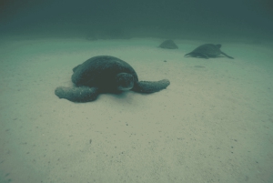 Excursión de día completo San Cristóbal 360 en Galápagos