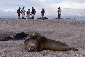 San Cristóbal: 6-Day 4 Galápagos Islands Adventure Tour