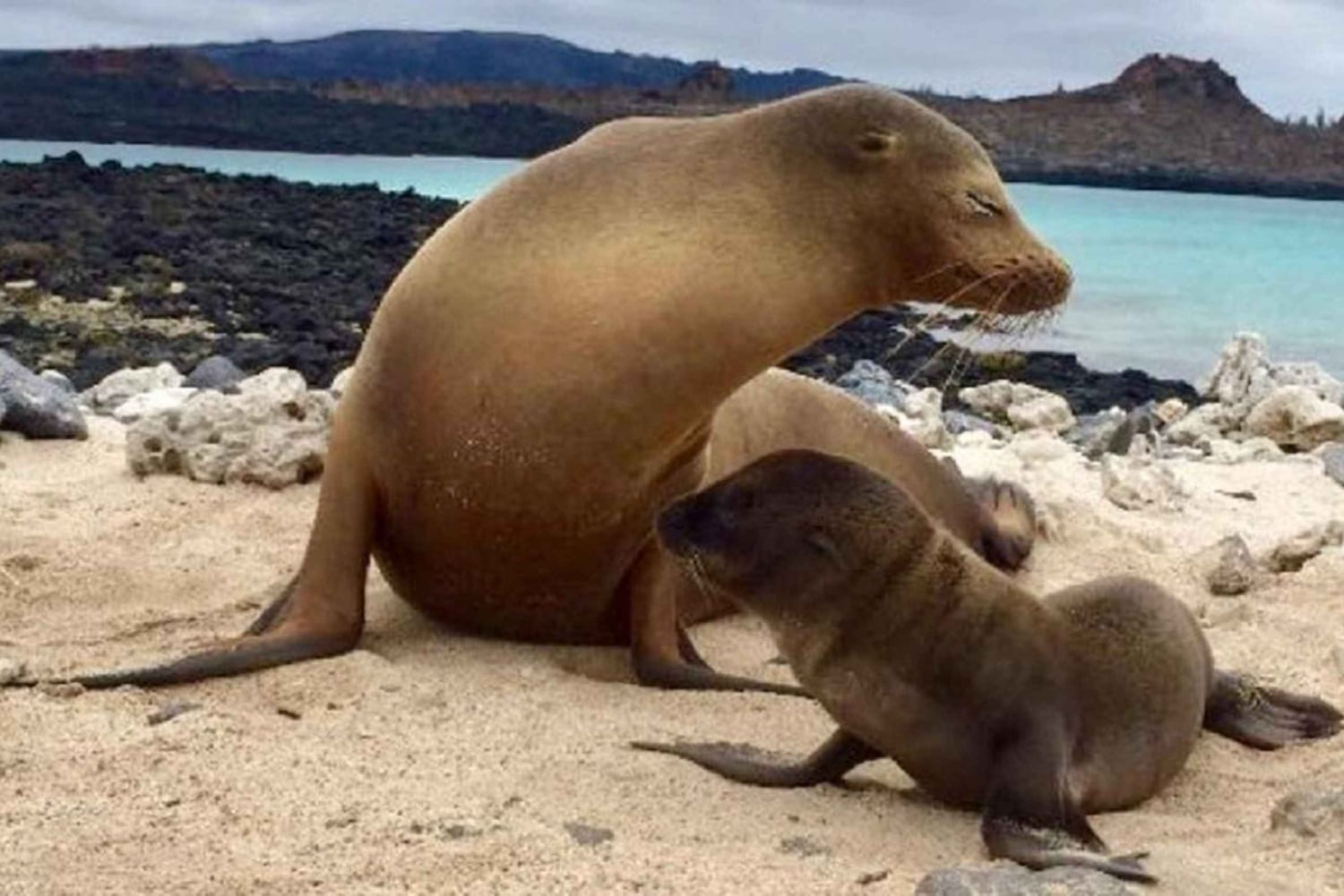 سان كريستوبال: جولة اقتصادية لمدة 6 أيام في 4 جزر غالاباغوس