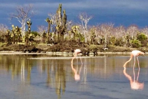 سان كريستوبال: جولة اقتصادية لمدة 6 أيام في 4 جزر غالاباغوس