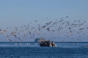 سان كريستوبال: جولة اقتصادية لمدة 6 أيام في 4 جزر غالاباغوس