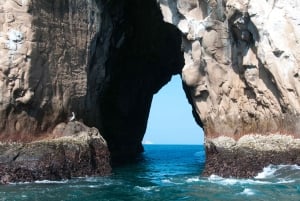 Wyspa San Cristóbal: wycieczka do Punta Pitt z nurkowaniem