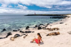 San Cristóbal: La Lobería Tour