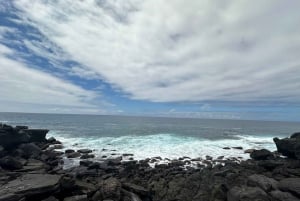 San Cristóbal: La Lobería Tour