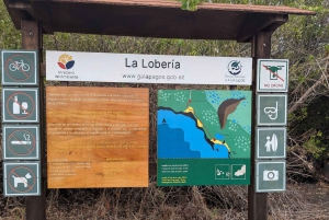 San Cristóbal: La Lobería Tour