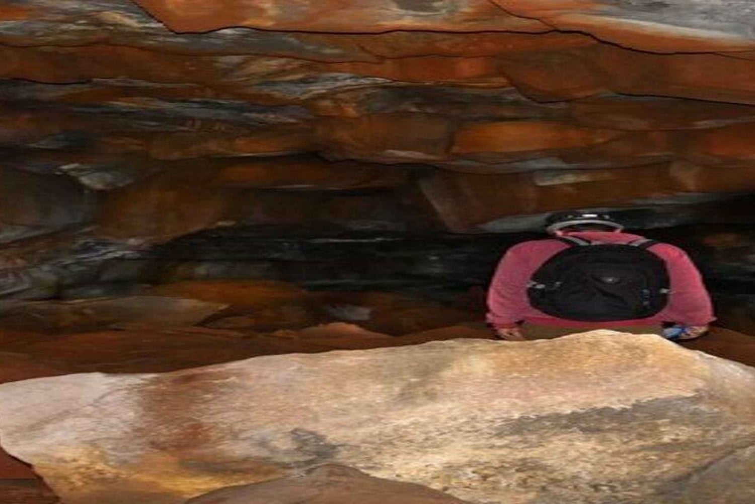 Santa Cruz : observation des tortues géantes et visite des tunnels de lave