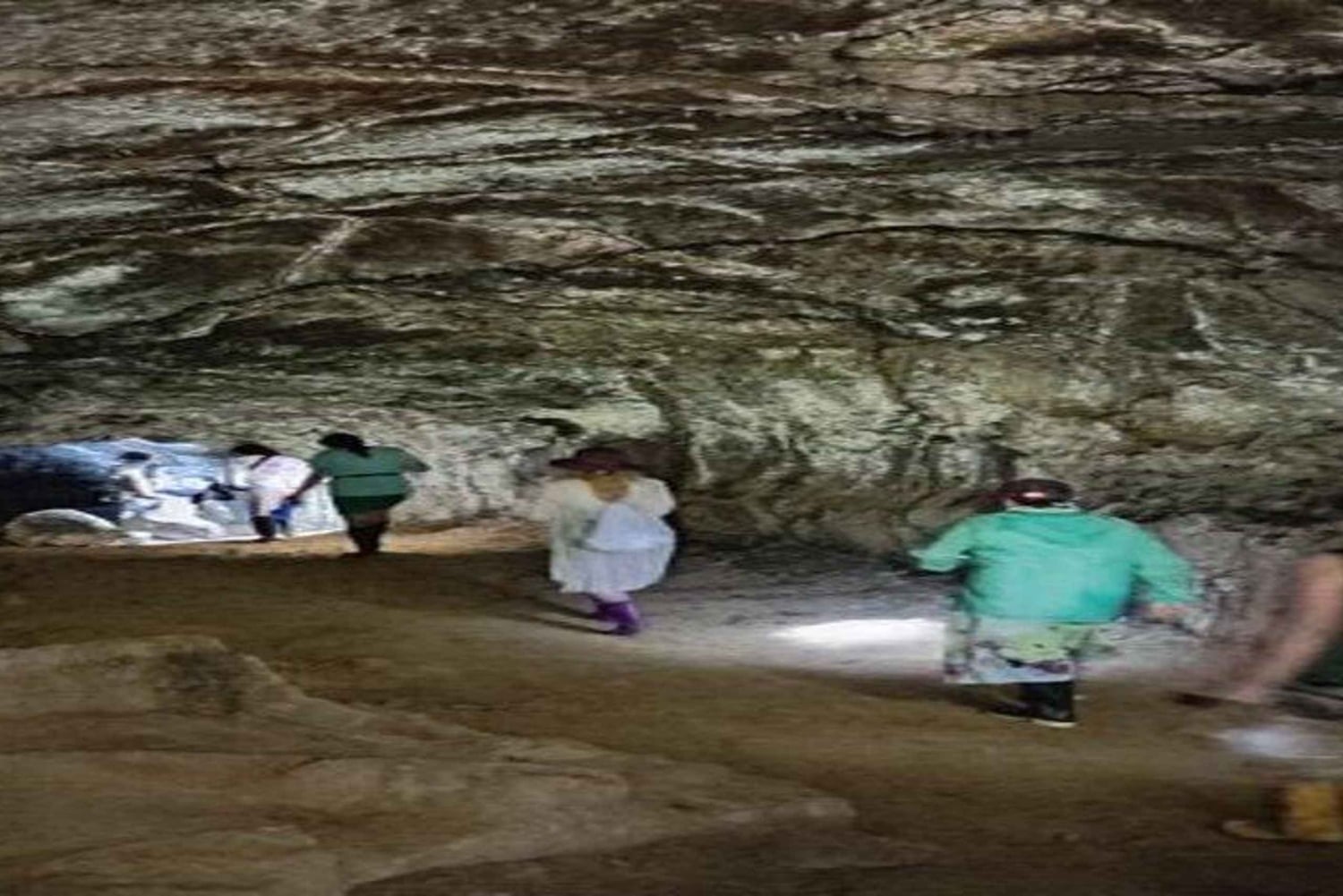 Santa Cruz : observation des tortues géantes et visite des tunnels de lave
