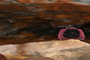 Santa Cruz : observation des tortues géantes et visite des tunnels de lave