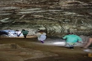 Santa Cruz : observation des tortues géantes et visite des tunnels de lave