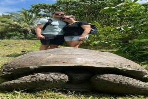Santa Cruz : observation des tortues géantes et visite des tunnels de lave
