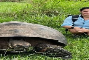 Santa Cruz : observation des tortues géantes et visite des tunnels de lave