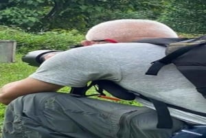 Santa Cruz : observation des tortues géantes et visite des tunnels de lave