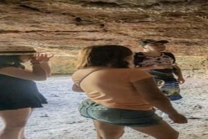 Santa Cruz : observation des tortues géantes et visite des tunnels de lave