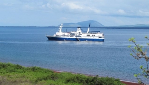 Santa Cruz